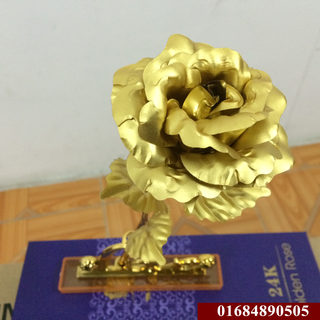 Hoa mạ vàng 24 có đế