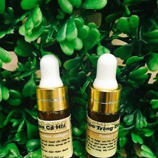 Serum dưỡng da cá hồi 5ml giá sỉ