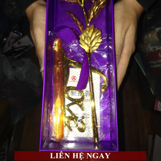 Hoa mạ vàng 24 có đế