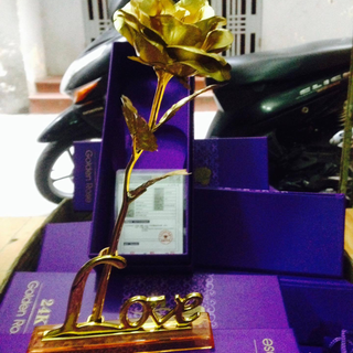 Hoa mạ vàng 24 có đế