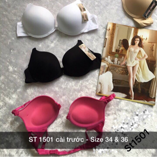 Ao sitter cài trước 1501