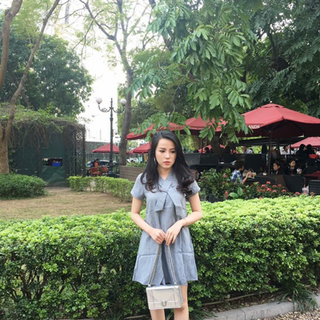 Váy chữ a hàng thiết kế
