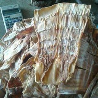 Măng rừng khô tây nguyên