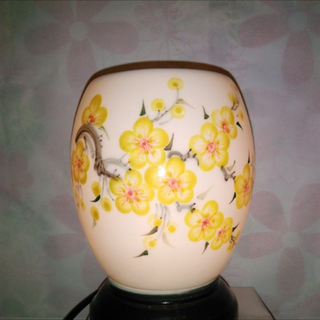 Đèn xông tinh dầu bom s1 s2