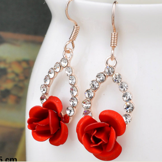 Bông tai giá sỉ 29k/đôi y hình chụp đơn 500k được sỉ mỗi sản phẩm 1 món cộng lại cũng đuoc