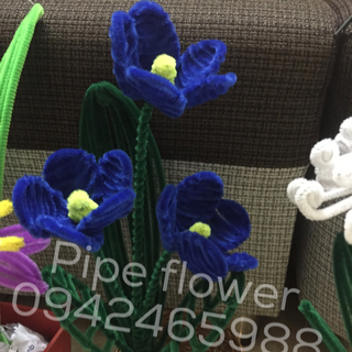 Pipe flower - hoa kẽm nhung món quà mới cho mọi nhà