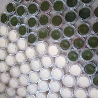 Dưỡng bơ và trà xanh