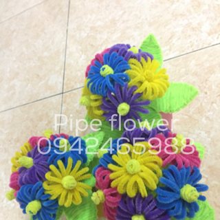 Pipe flower - hoa kẽm nhung kẽm nhũ