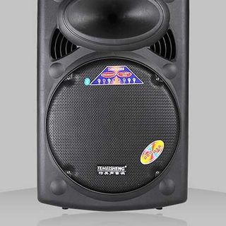 Loa kẹo kéo temeisheng 2305