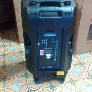 Loa temeisheng sl 15-05 45 tấc