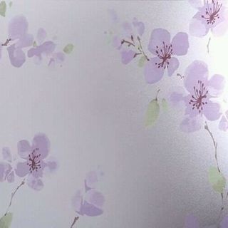 Decal giấy dán kính