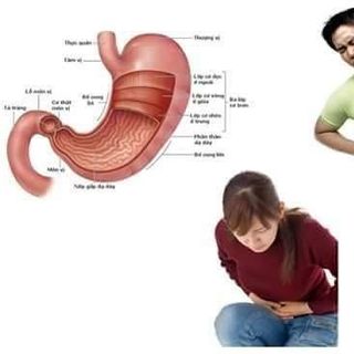 Bột nghệ nguyên chất 100