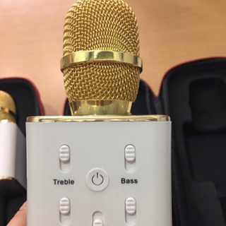 Mic kèm loa q7