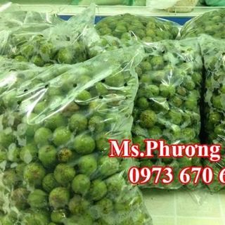 Cần mua quả sấu đông lạnh tại hà nội