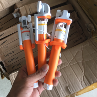 Gậy chụp ảnh monopop