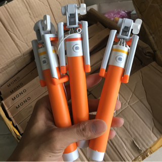 Gậy chụp ảnh monopop