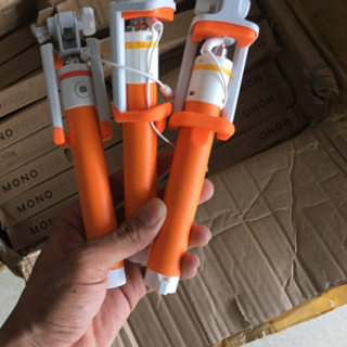 Gậy chụp ảnh monopop