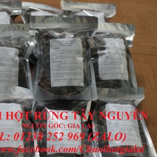 Chuối hột rừng tây nguyên ngâm rượu