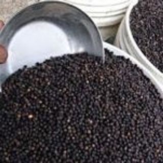 Hạt tiêu khô giá sỉ tiêu nhà tiêu