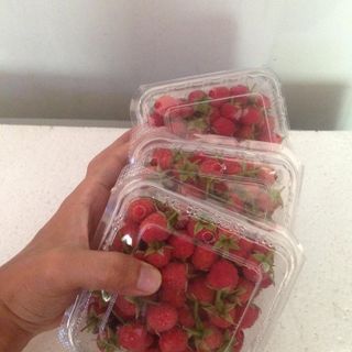 Phúc bồn tử - mâm xôi - raspberry