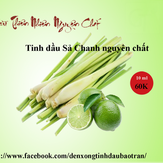 Tinh dầu sả chanh nguyên chất giá sỉ