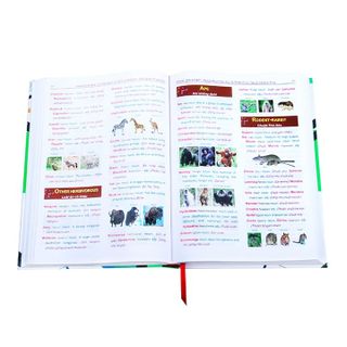 Sách từ vựng tiếng anh pehal the start