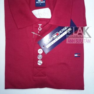 Áo tommy nam chất vải cá sấu