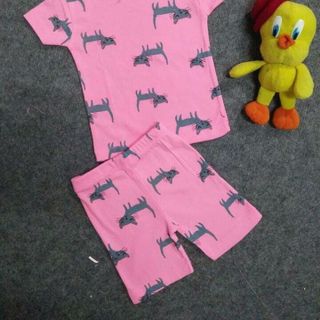 Đồ carters