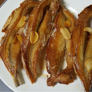 Cá mối một nắng