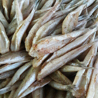Cá mối một nắng