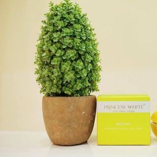 Kem dưỡng trắng da mặt princess white - nice day