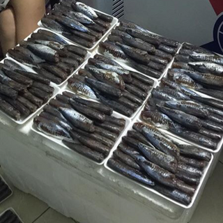Cá nục chuối một nắng