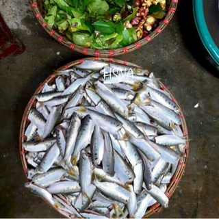 Cá mòi kho - đặc sản hải phòng