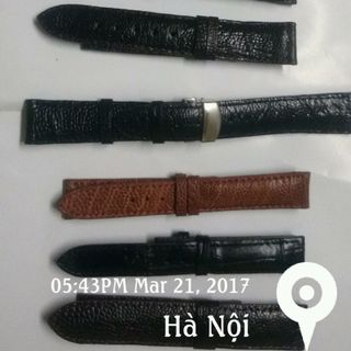 Đây đồng hồ da đà điểu