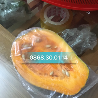 Túi đựng thực phẩm tự huỷ sinh học 15x25x100 chiếc/ cuộn