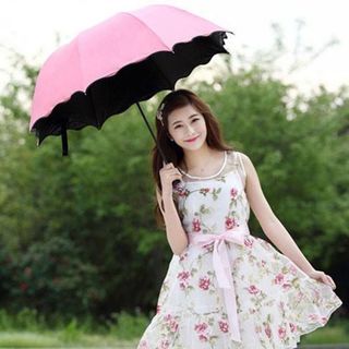 Ô nở hoa 3d