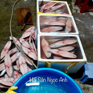 Cá thu một nắng