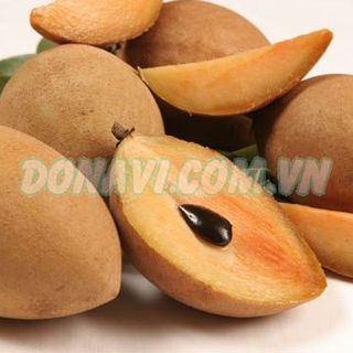 Hồng xiêm tiền giang