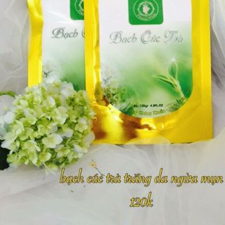 Bạch cúc trà