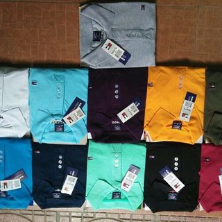 Áo tomy 100 cotton