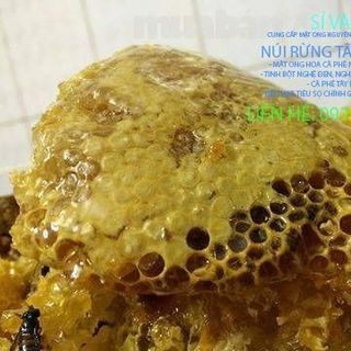 Mật ong hoa cà phê nguyên chất giá 110000 đồng/lít