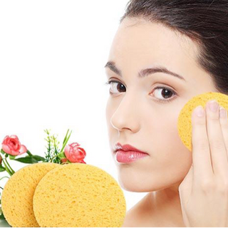 Bọt biển nở chivey nhật bản