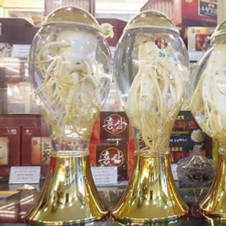 Bình tươi sâm hàn quốc