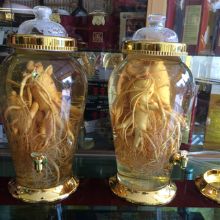 Bình tươi sâm hàn quốc
