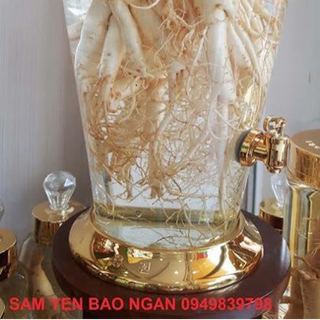 Bình tươi sâm hàn quốc
