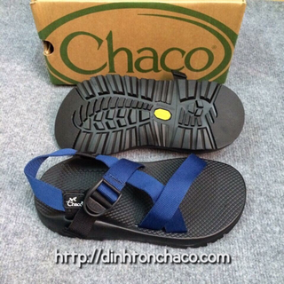 Chaco thằn lằn colorado