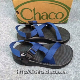 Chaco thằn lằn colorado