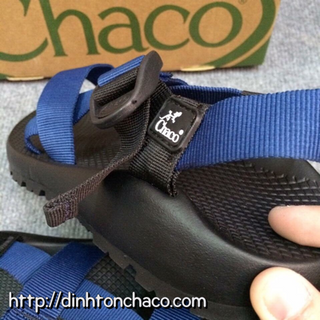 Chaco thằn lằn colorado