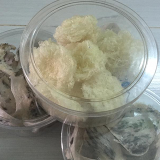 Tổ yến nhà nuôi