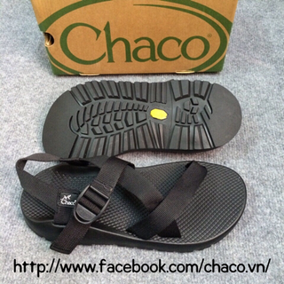 Chaco thằn lằn colorado
